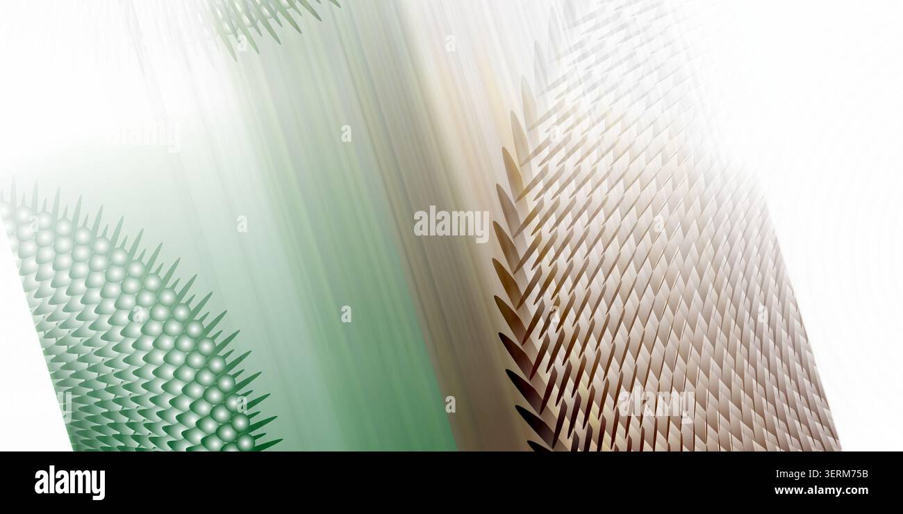 Un élément diagonal abstrait avec des pointes texturées vertes, un dégradé lisse et des écailles brunes, isolé sur un fond blanc pur. Banque D'Images