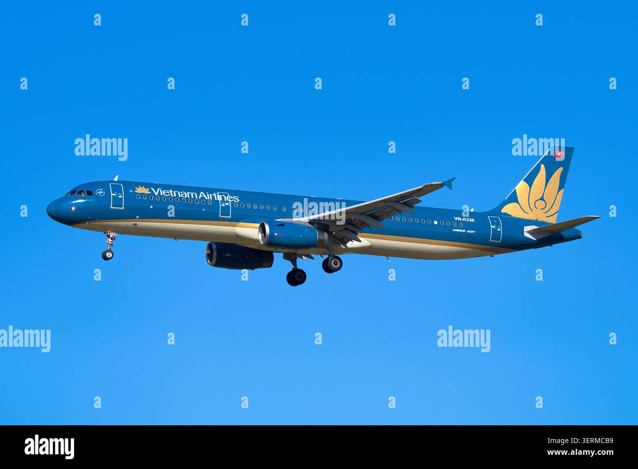 Airbus A321-200 (VN-A336) de Vietnam Airlines en approche finale avec train d'atterrissage déployé à l'aéroport international de Narita Banque D'Images