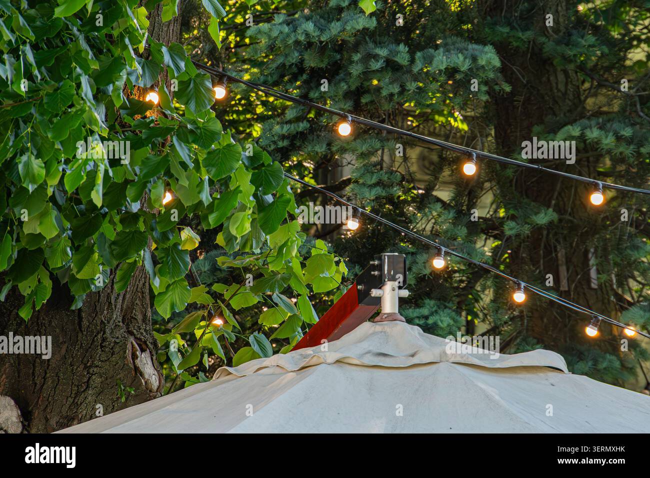 Chaîne de lumières chaudes et incandescentes suspendues à un support en bois avec fond de feuillage vert, avec texture de tronc d'arbre rustique et strate de tissu blanc Banque D'Images