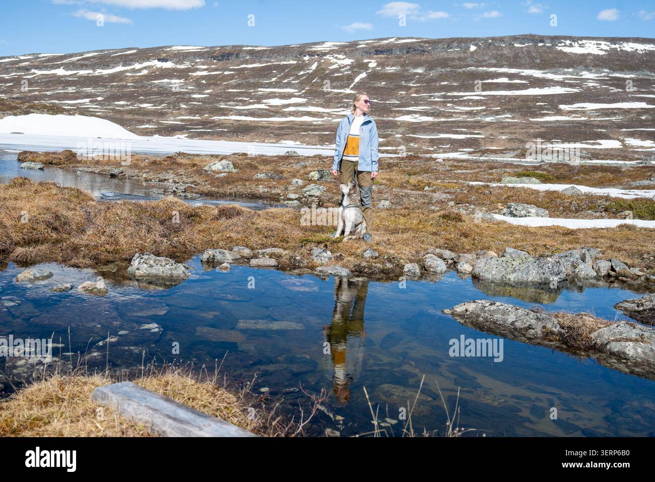 Femme et son chien appréciant un paysage de montagne en Laponie Finlande Banque D'Images