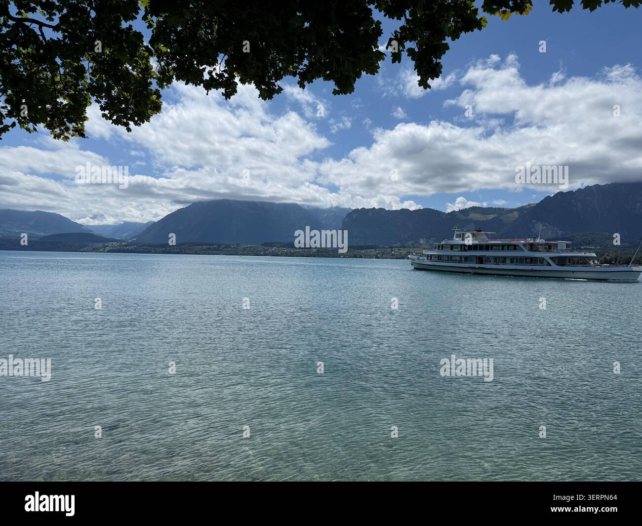 Un ferry blanc traverse un lac alpin turquoise en Suisse, encadré par une branche d'arbre surplombant avec des montagnes escarpées et des nuages s'élevant b Banque D'Images