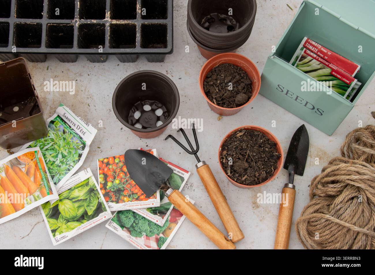 Fournitures pour le démarrage des semis étalées dans une serre pour le jardinage printanier Banque D'Images