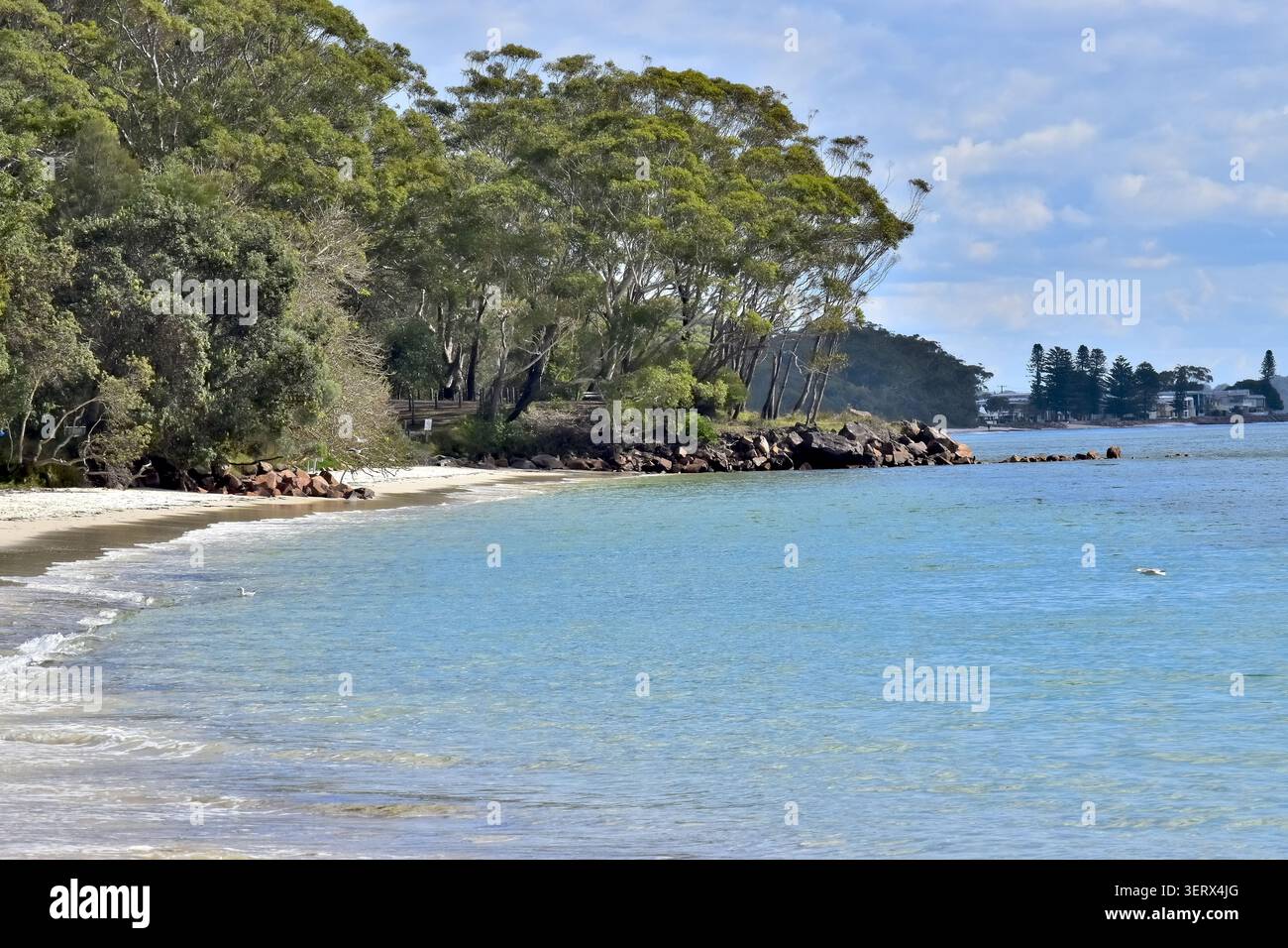 Un littoral de sable calme rencontre une eau bleue claire, bordée d'arbres verts denses et d'une section rocheuse qui brise la plage. Banque D'Images