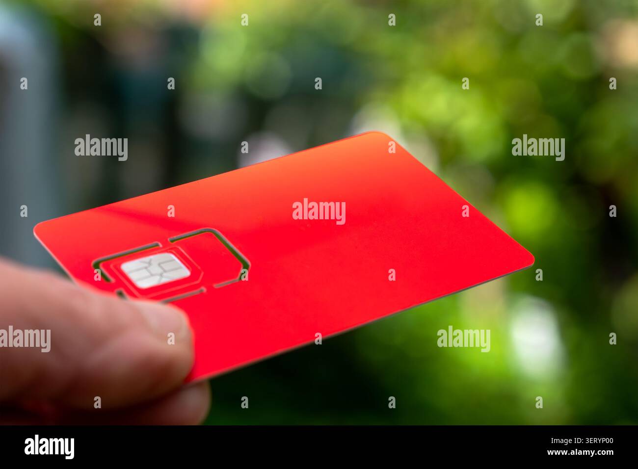 Main tenant une carte sim dans son support de taille normale, prête pour l'activation pour activer la connectivité mobile, les données cellulaires et la configuration de service. Gros plan. Banque D'Images