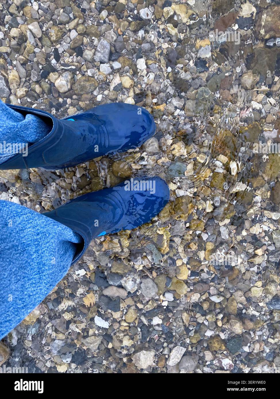 Personne portant des bottes de pluie bleues debout dans un ruisseau peu profond avec un fond de galet. Banque D'Images