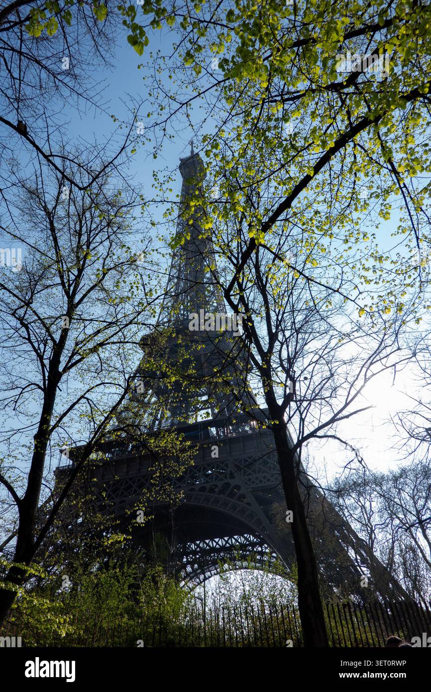 Tour Eiffel à travers les arbres Banque D'Images