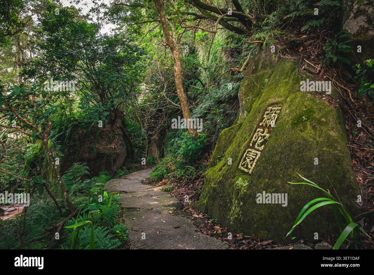 Rocher couvert de mousse avec une inscription chinoise à côté d’un sentier forestier sur le sentier de Xiangshan, Taipei, Taïwan. Banque D'Images