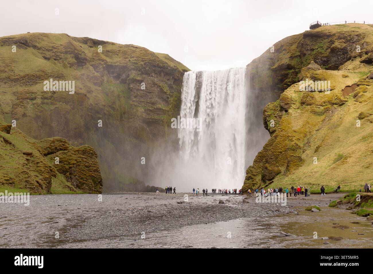 Majestueux cascade de Skogafoss dévalant des falaises moussues dans le sud de l'Islande. Banque D'Images
