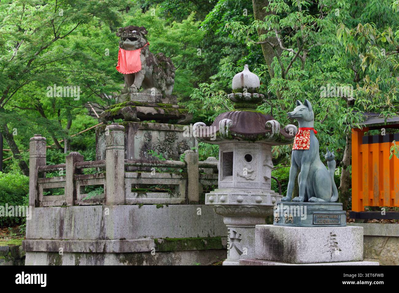 Statue de gardien renard komainu en pierre et lanterne en pierre au sanctuaire shintoïste Fushimi Inari Taisha, Kyoto Japon, fond de forêt luxuriante et verte Banque D'Images