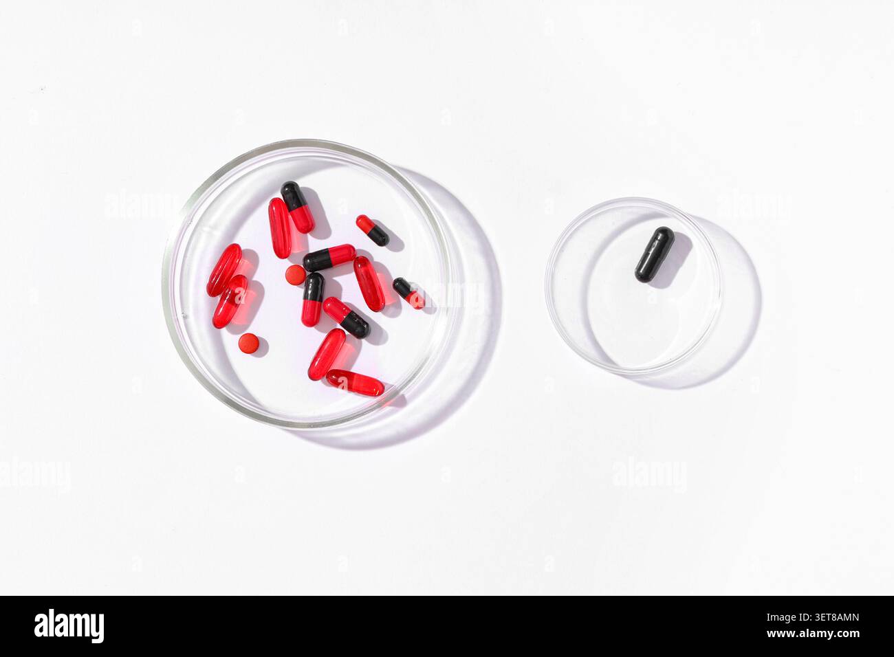 Recherche et développement pharmaceutiques avec des pilules rouges et noires dans des boîtes de Petri sur fond blanc, la recherche et le développement pharmaceutiques impliquent Banque D'Images