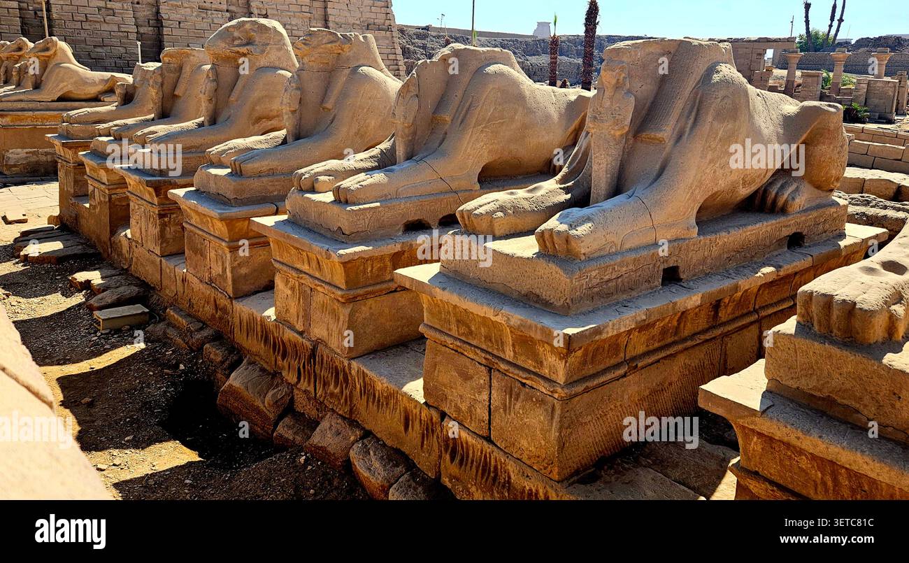 Avenue des sphinx à tête de bélier à l'entrée du complexe du temple de Karnak, Louxor, Egypte - Image de stock capturée avec un smartphone