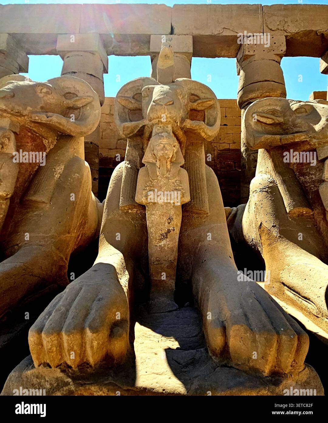 Sphinx à tête de RAM bordant la voie processionnelle, complexe du temple de Karnak, Louxor, Égypte - Image de stock capturée avec un smartphone