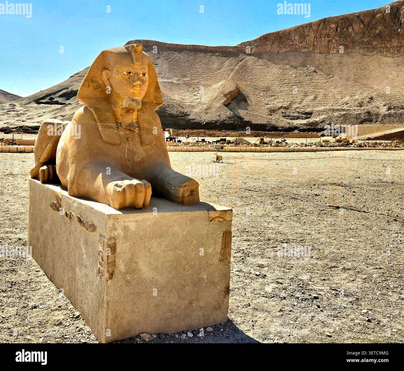 Sphinx calcaire colossal de la reine Hatshepsout gardant son temple mortuaire, Deir el-Bahari, Louxor, Égypte - Image de stock capturée avec un smartphone