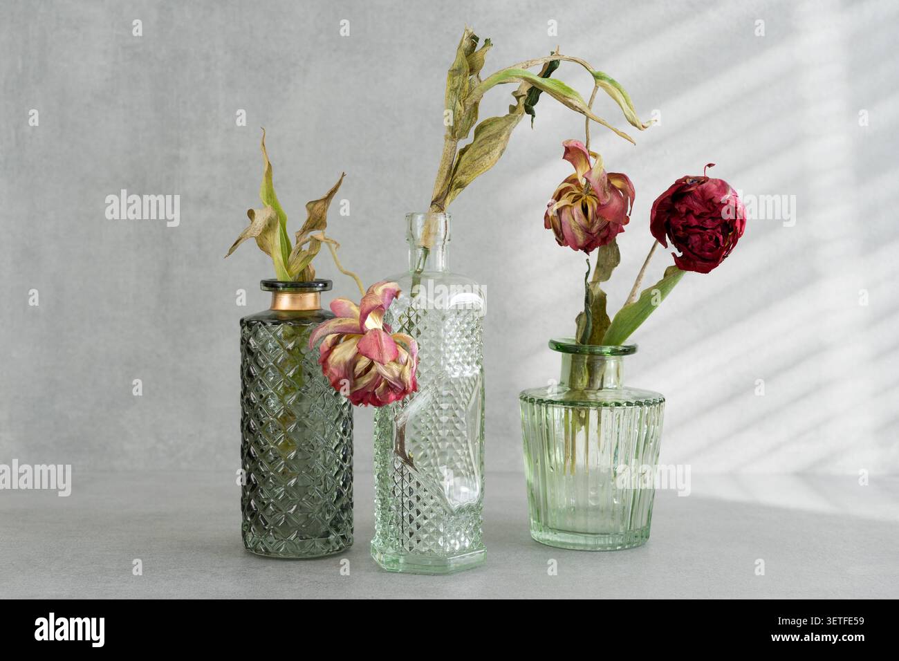 fleurs séchées dans une cruche blanche, décoratif, triste, bouquet de fleurs séchées Banque D'Images