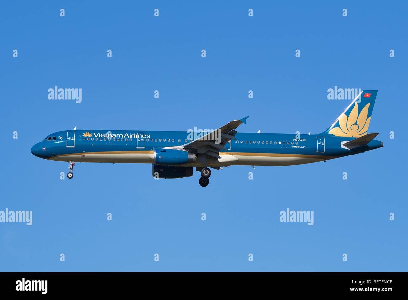 Vietnam Airlines Airbus A321-200 (VN-A336) avion de passagers en approche finale avec train d'atterrissage déployé à l'aéroport international de Narita Banque D'Images