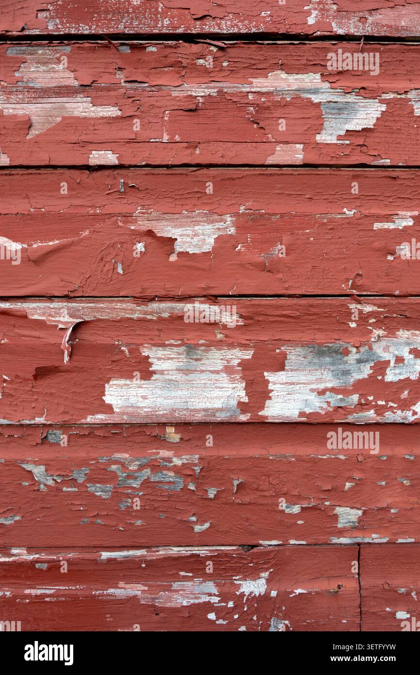 Peinture écaillée rouge se détachant des dalles de bois d'une grange. Banque D'Images