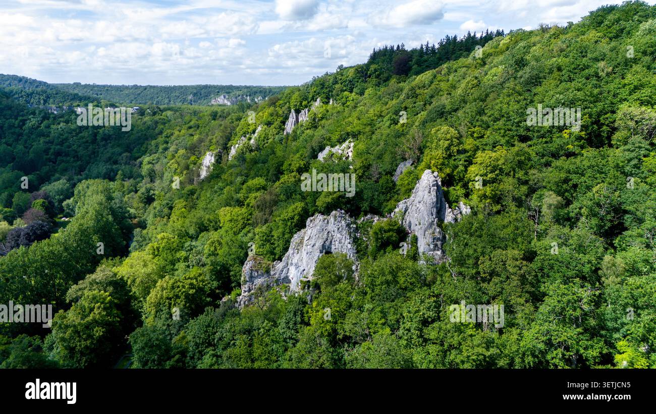 Vue aérienne des falaises calcaires de via Ferrata Pont-a-Lesse entourées d'une forêt dense et verdoyante sous un ciel nuageux à Dinant, région wallonne, Belgique. Banque D'Images