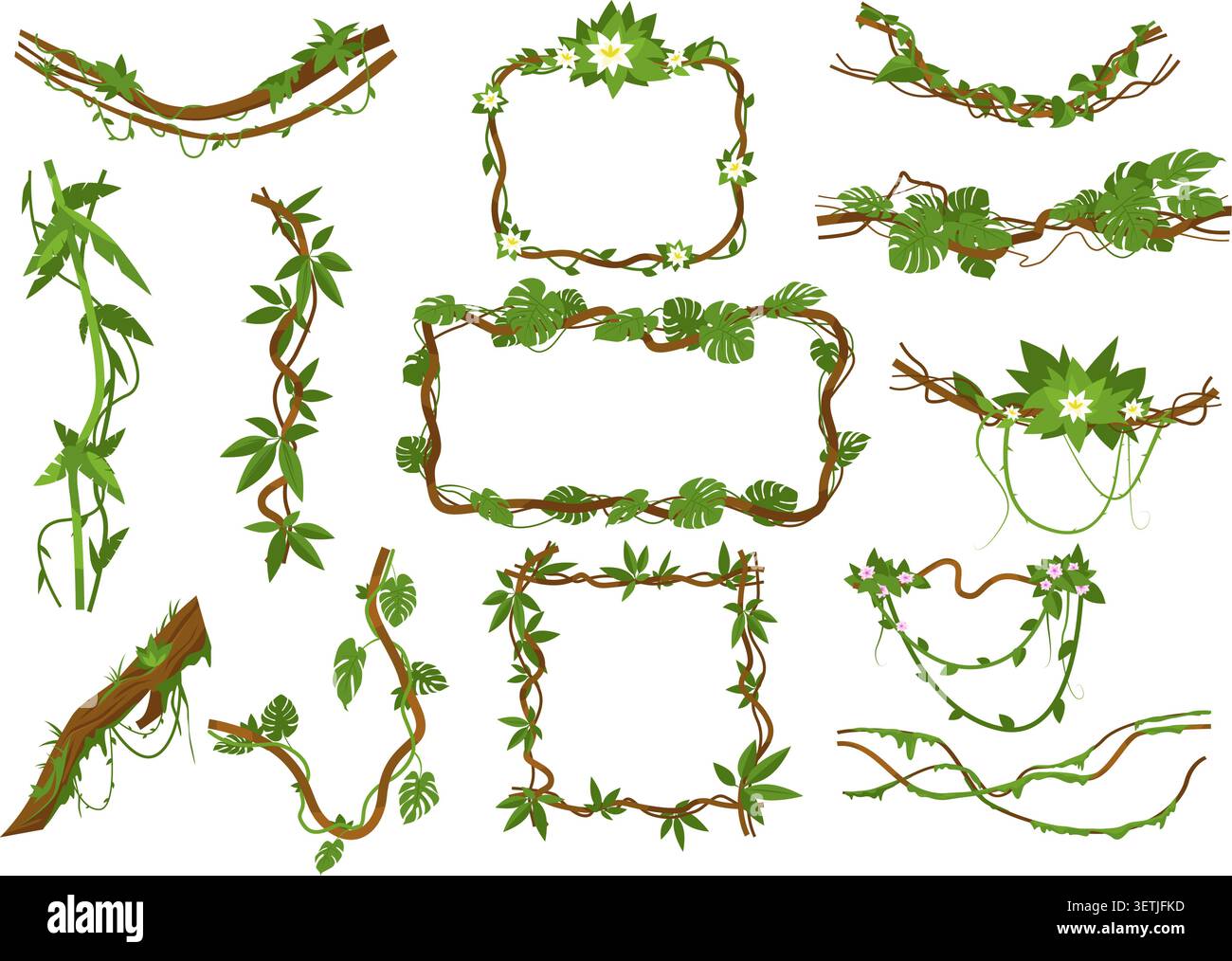 Cadres faits de vignes et de feuilles. Tiges grimpantes entrelacées et branches de plantes exotiques. Feuillage et fleurs de forêt tropicale. Palmiers et lianes de la jungle Illustration de Vecteur