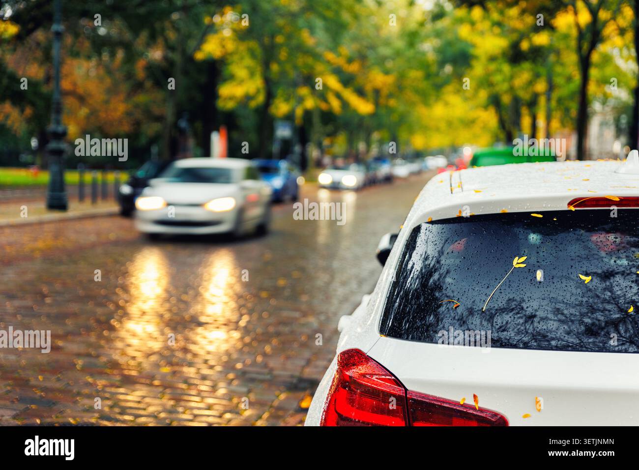 Moody Scenic feu arrière vue sur le pare-brise de voiture blanc moderne couvert de feuilles jaunes dorées tombées garées rue humide de ville automne jour pluvieux. Couvert Banque D'Images