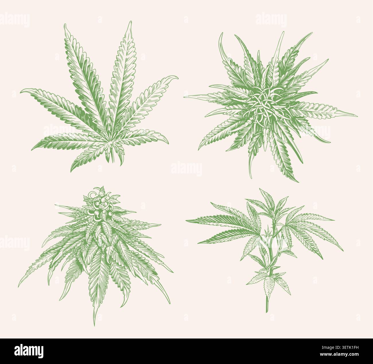Ensemble d'icônes de cannabis de style croquis vert. Collecte de marijuana isolée Illustration de Vecteur