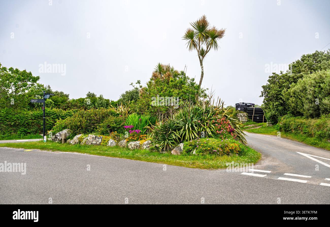 Présentation colorée de plantes et de fleurs au carrefour de Pungies Lane, High Lane et la A3110, Saint-Mère-Église, îles Scilly, Royaume-Uni. Banque D'Images