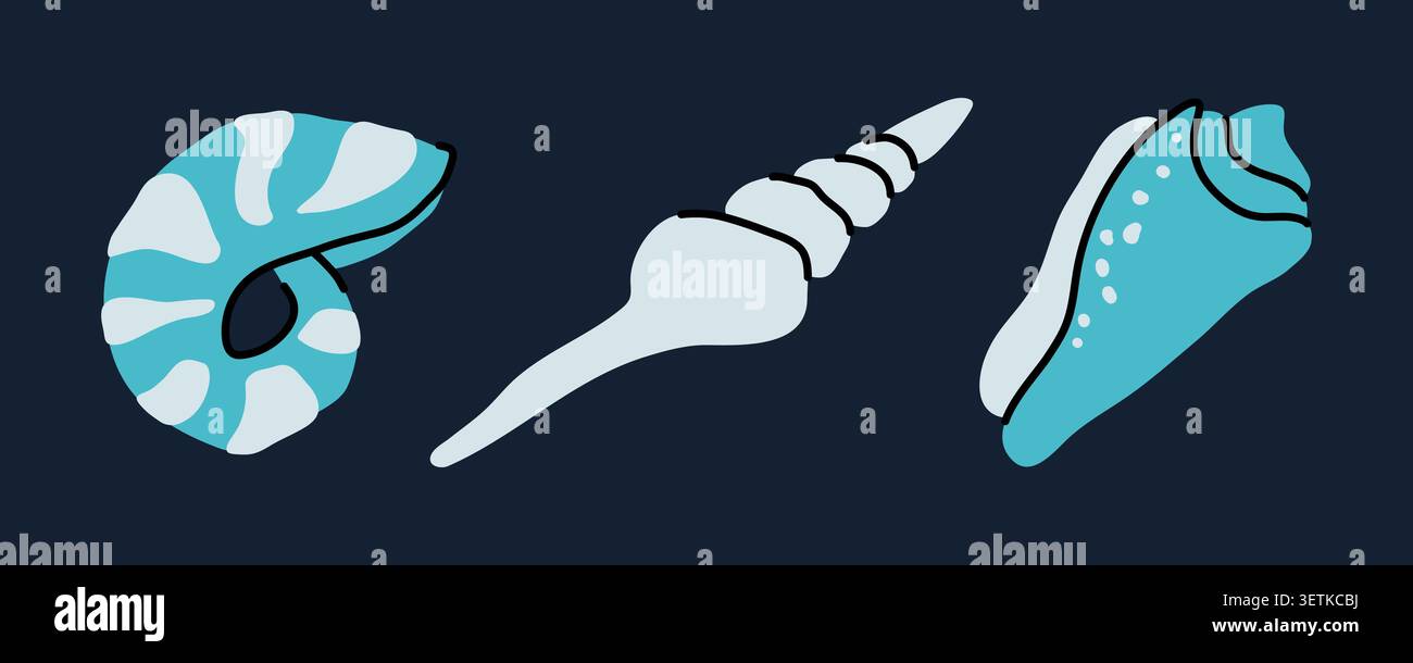 Illustration vectorielle de coquillages de mer sur fond sombre. Ensemble créatifs de coquillages nautilus et conques dessinés à la main pour un design marin élégant, imprimé été Illustration de Vecteur