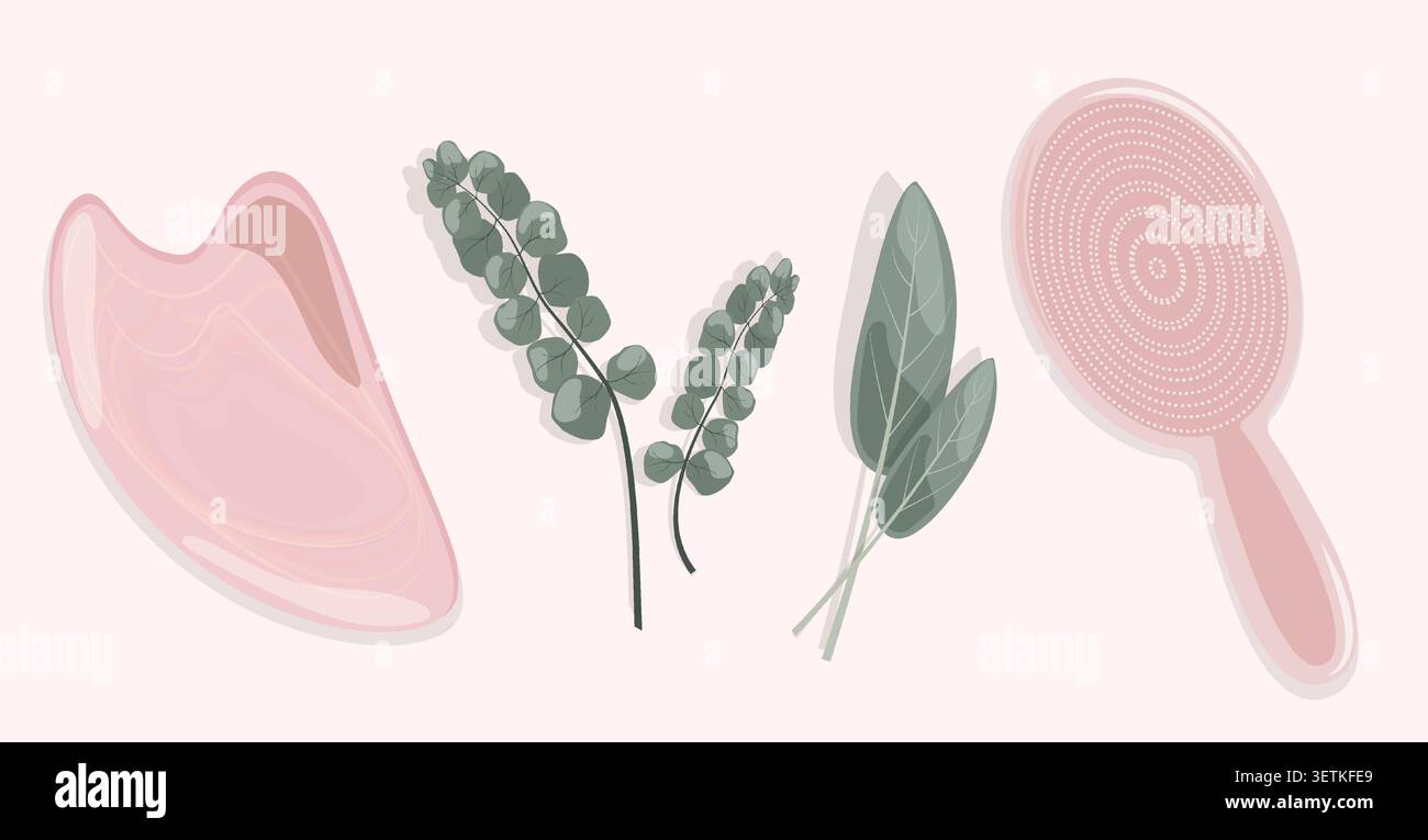 Minimaliste Spa Set Vector vue de dessus de Rose Quartz Guasha Stone brosse de massage en bois herbes de sauge et branches d'eucalyptus pour Pink Wellness Skincare Asset Illustration de Vecteur