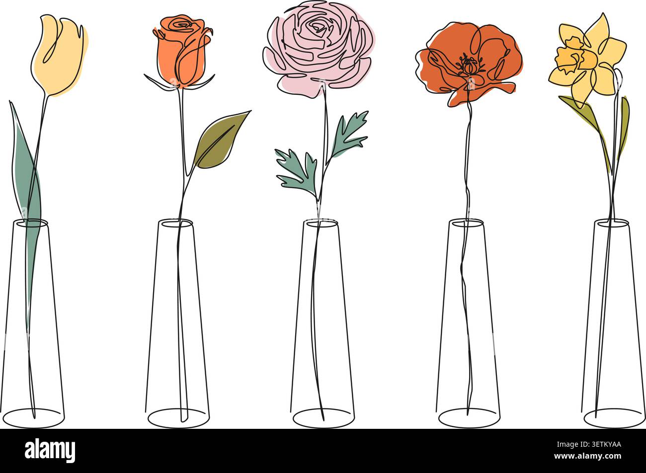 dessin au trait continu minimaliste, collection de cinq fleurs différentes de printemps et d'été dans de grands vases en verre, illustration vectorielle d'art au trait Illustration de Vecteur