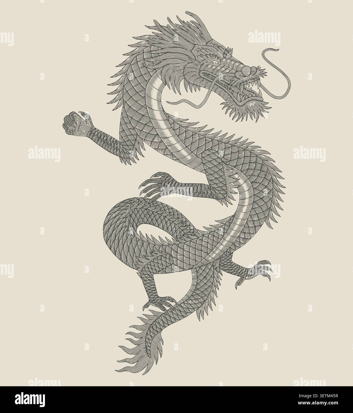 Dragon traditionnel japonais antique, illustration de style dessin de gravure vintage Illustration de Vecteur