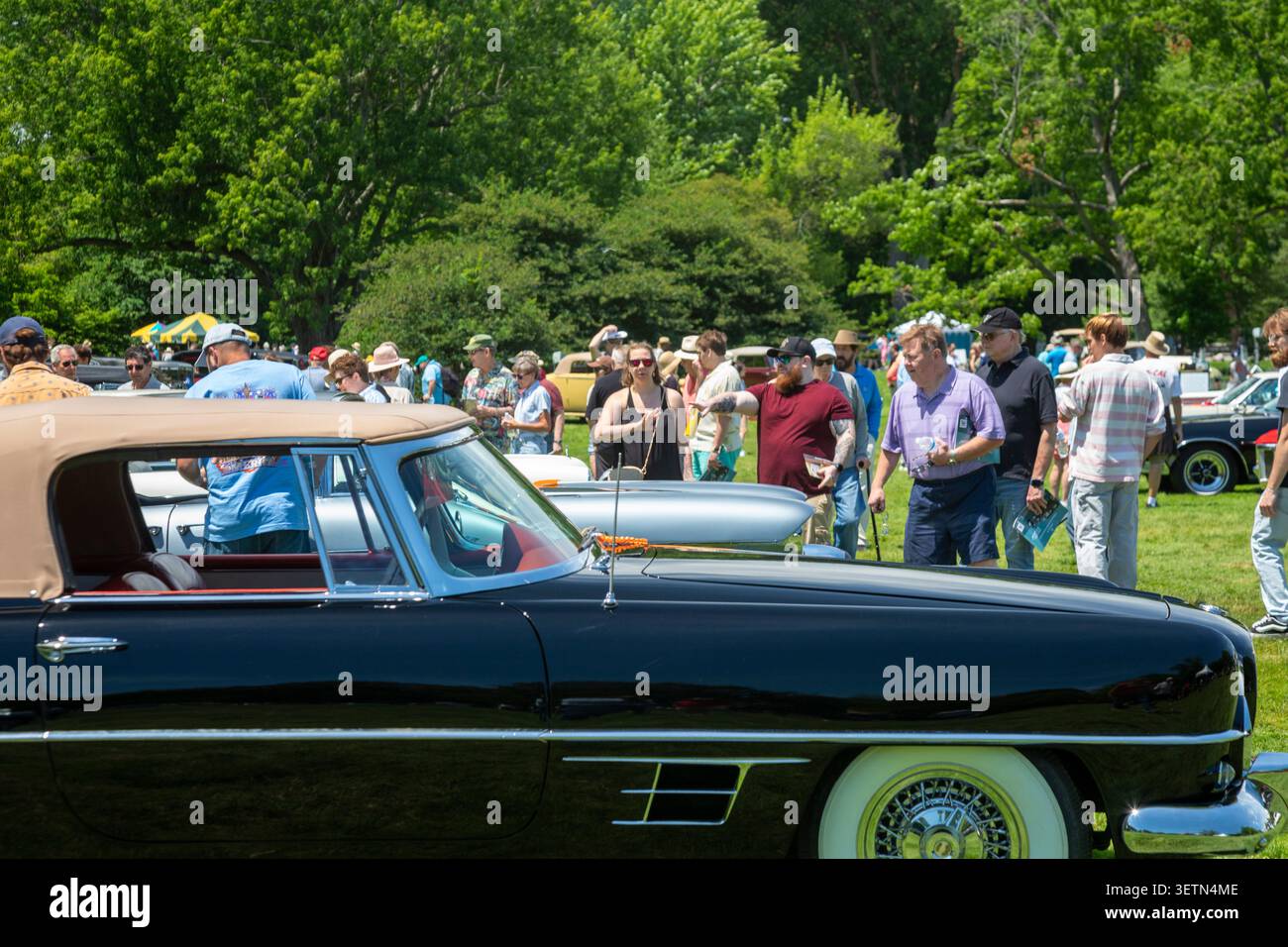Grosse pointe Shores, Michigan - salon annuel de l'automobile The Eyes on Design. Le thème de cette année était « puissance et élégance ». Banque D'Images