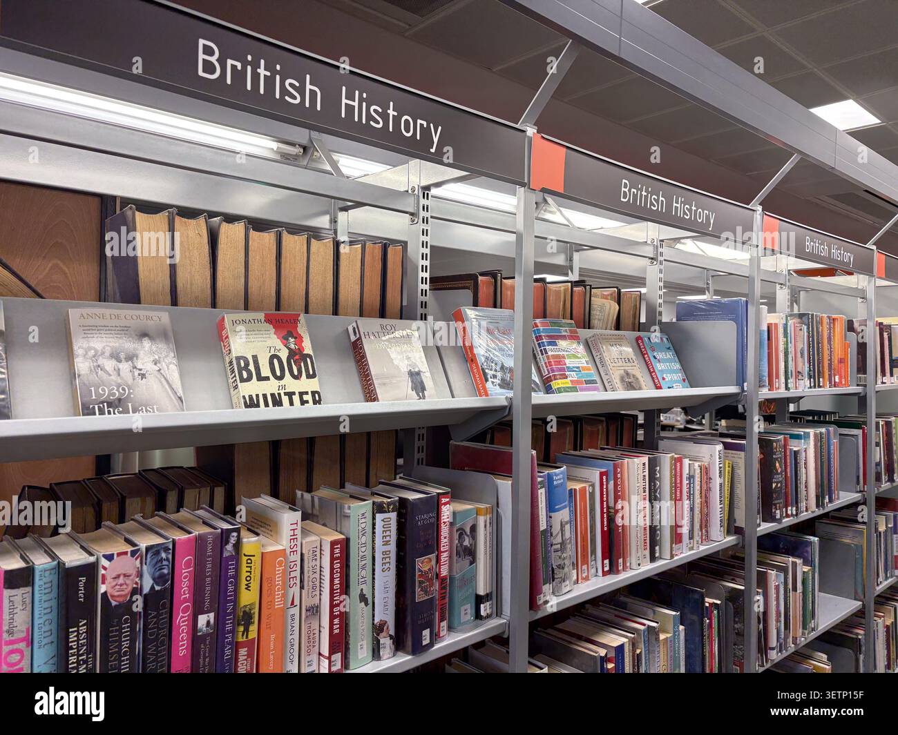 Rangées de livres de non-fiction sur l'histoire britannique à l'intérieur de la Newcastle City Library à Newcastle upon Tyne, en Angleterre, logés sur des étagères métalliques. Banque D'Images
