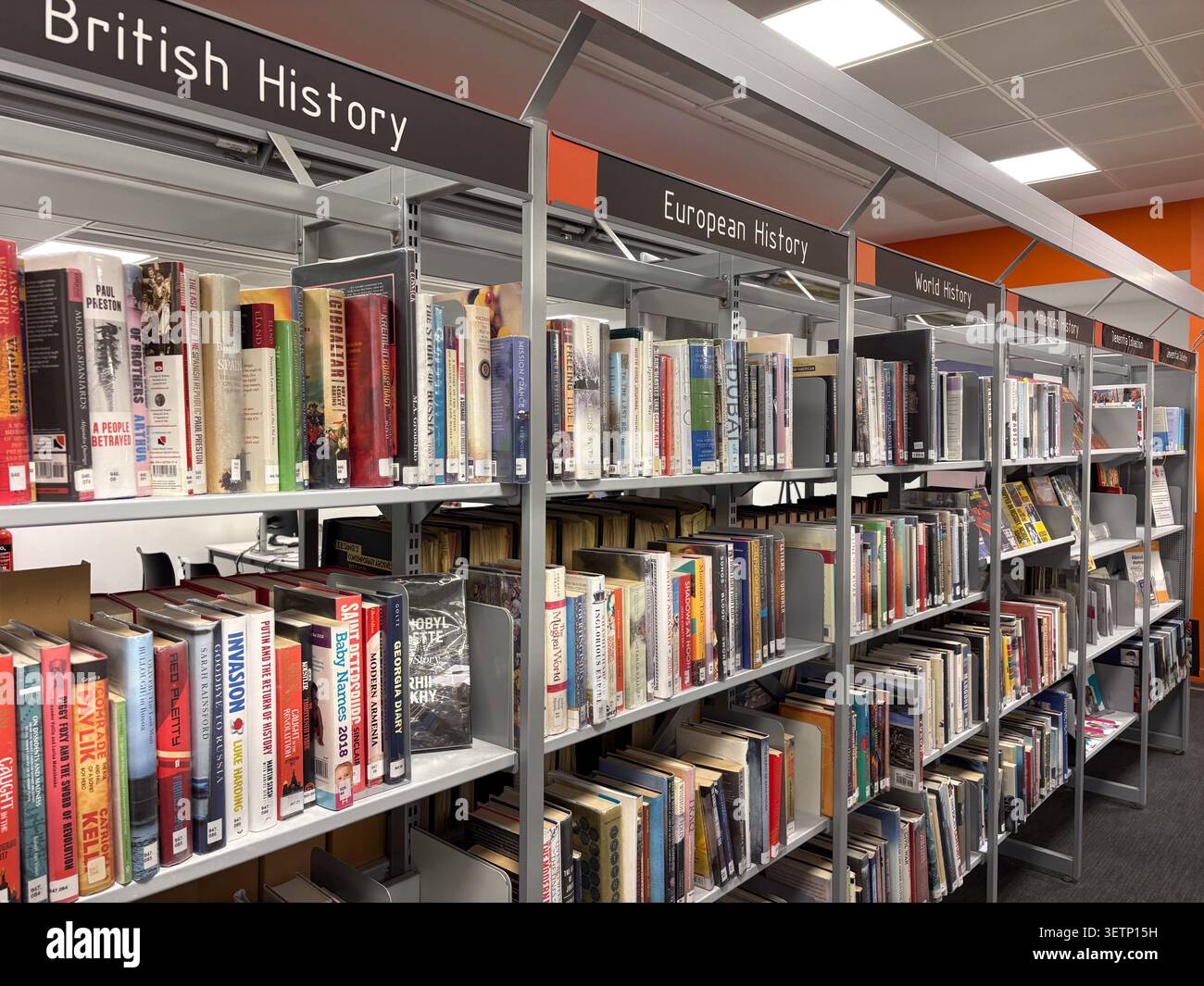 Rangées de livres d'histoire sur les étagères à l'intérieur de la Newcastle City Library, Newcastle upon Tyne, Royaume-Uni. Banque D'Images