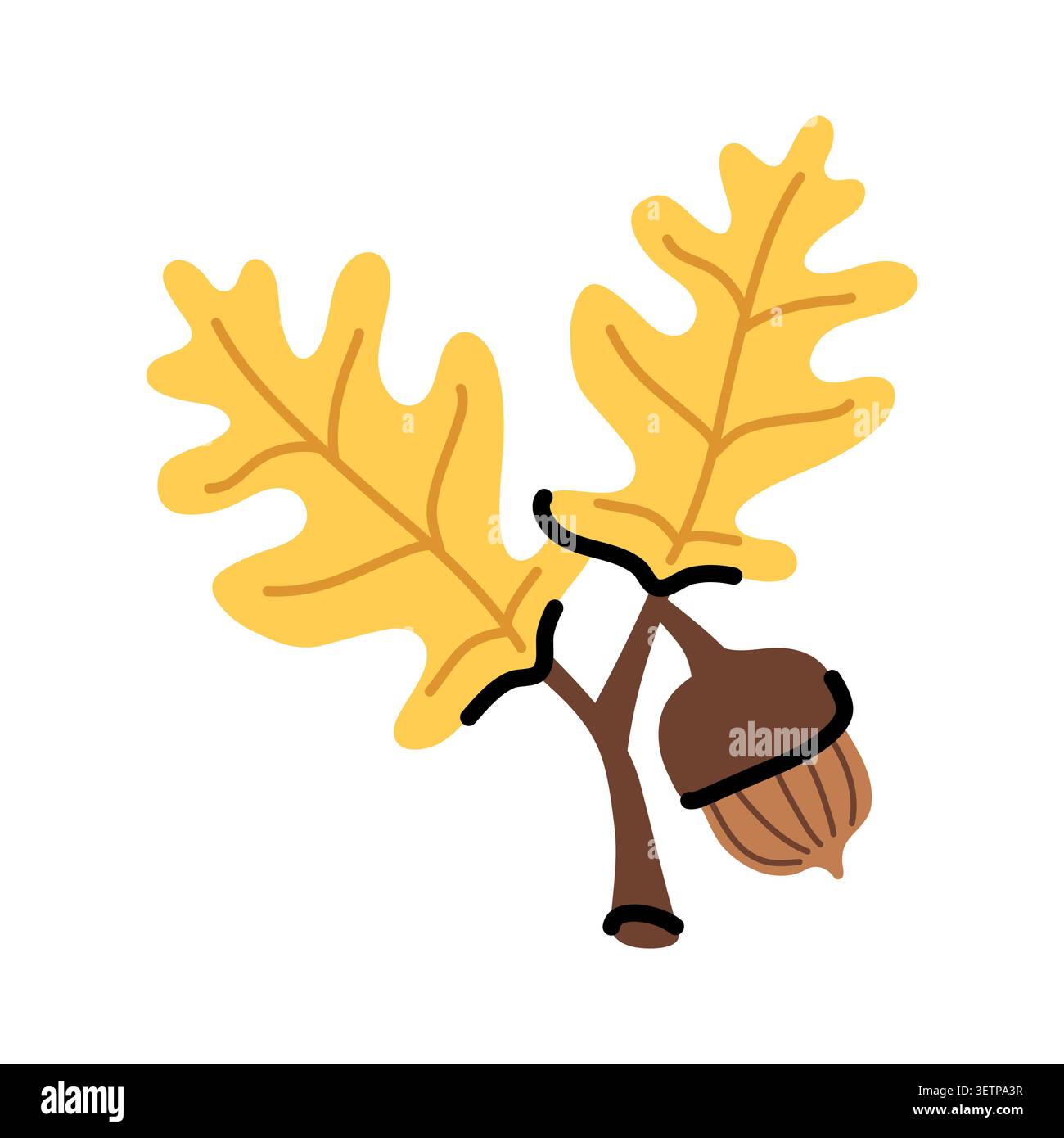 Illustration vectorielle de feuille de chêne et branche de gland isolée sur blanc. Élément de feuillage jaune d'automne. Icône de graine forestière d'automne dessinée à la main Illustration de Vecteur