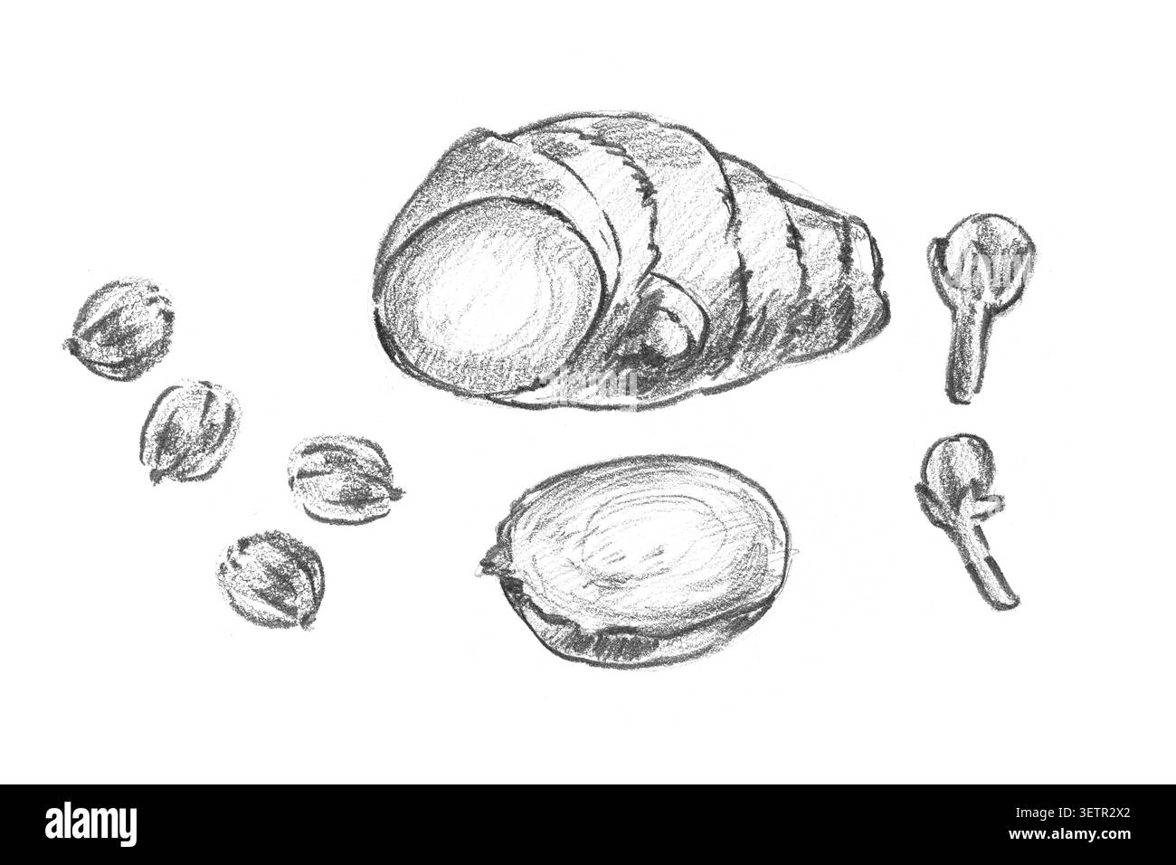 Racine de gingembre avec tranches, graines de coriandre et clous de girofle. Parfait pour les recettes de vin chaud, les emballages de thé d'hiver et les illustrations de mélanges d'épices aromatiques. Banque D'Images