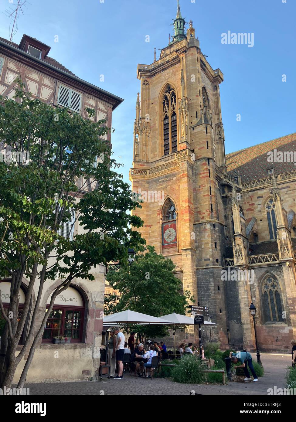 Restaurant patio en face de Collégiale Saint-Martin de Colmar (Cathédrale Saint-Martin), vieille ville, Colmar, Haut-Rhin, France Banque D'Images