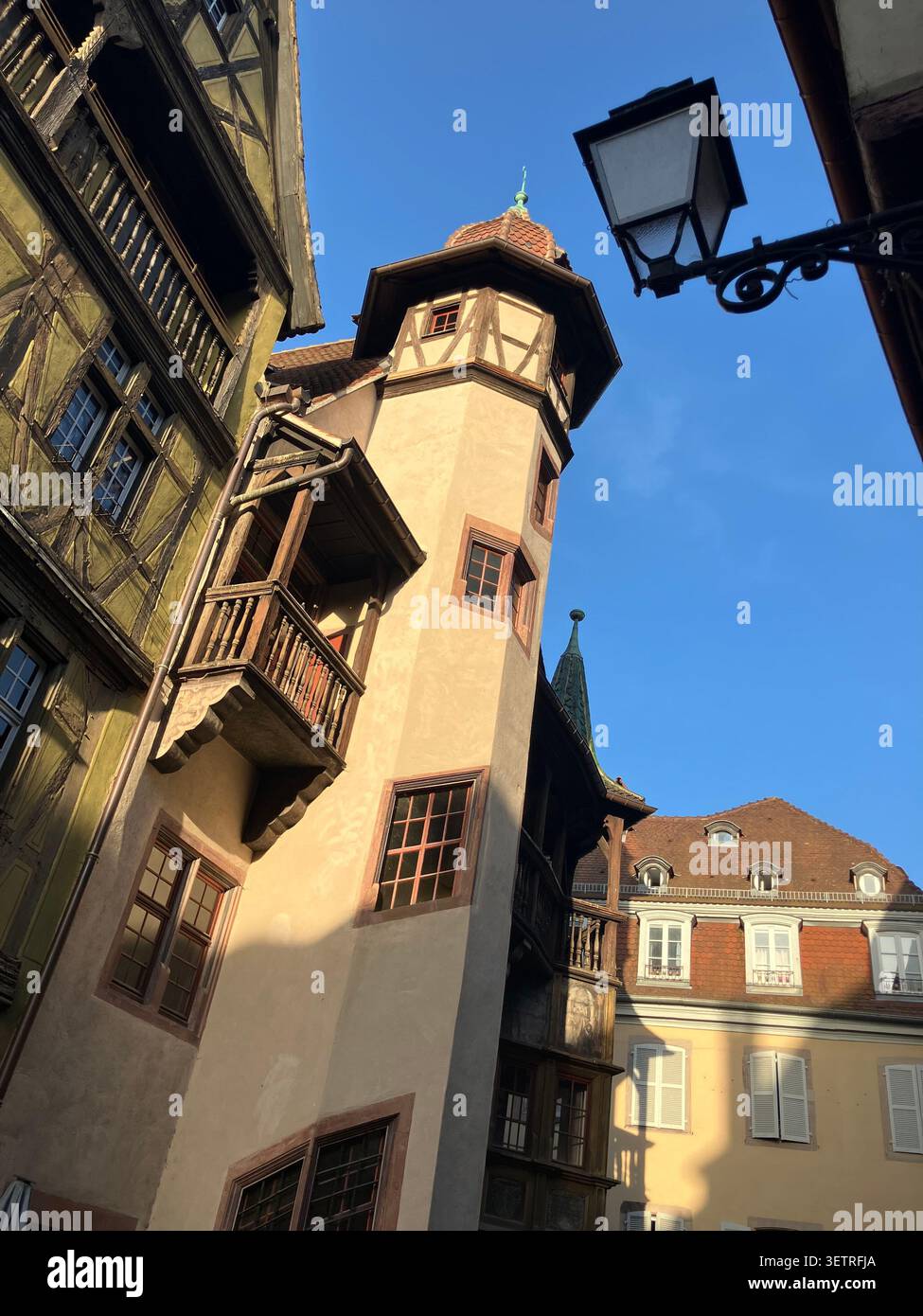 Vue en contre-plongée de la Maison Pfister (Pfister House), un bâtiment emblématique de la Renaissance en colombage à Colmar, en Alsace, France sous un ciel dégagé. Banque D'Images