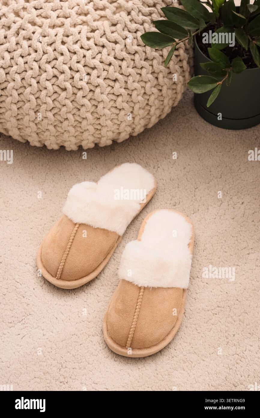Chaussons beiges confortables sur tapis près du pouf tricoté et de la plante verte Banque D'Images