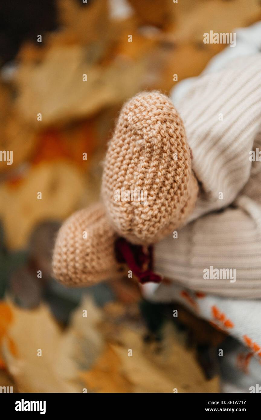 Gros plan artistique des petits pieds d'un nouveau-né portant des chaussettes tricotées blanches douces, reposant dans un panier tissé rempli d'automne de saison Banque D'Images