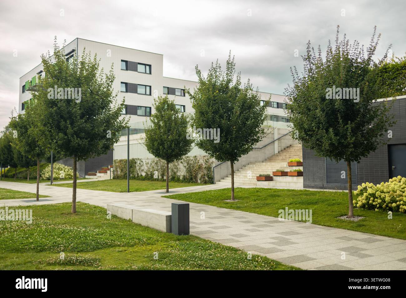 Cour moderne d'immeuble d'appartements avec pelouses verdoyantes et arbres Banque D'Images