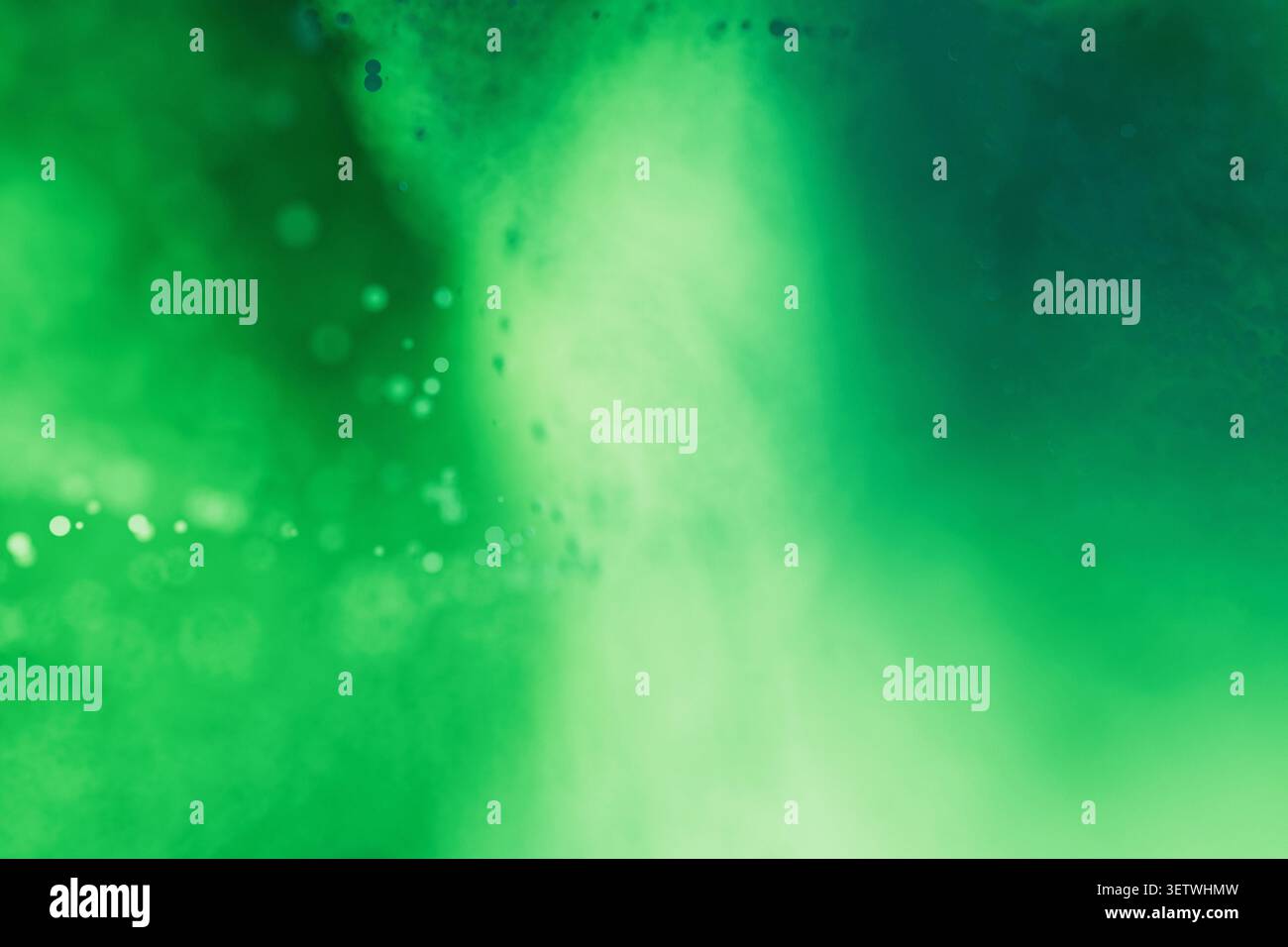 Fond vert vif abstrait avec des effets de fumée fluide doux, des lumières bokeh douces et des dégradés. Idéal pour les concepts de nature organique, éco-ami Banque D'Images