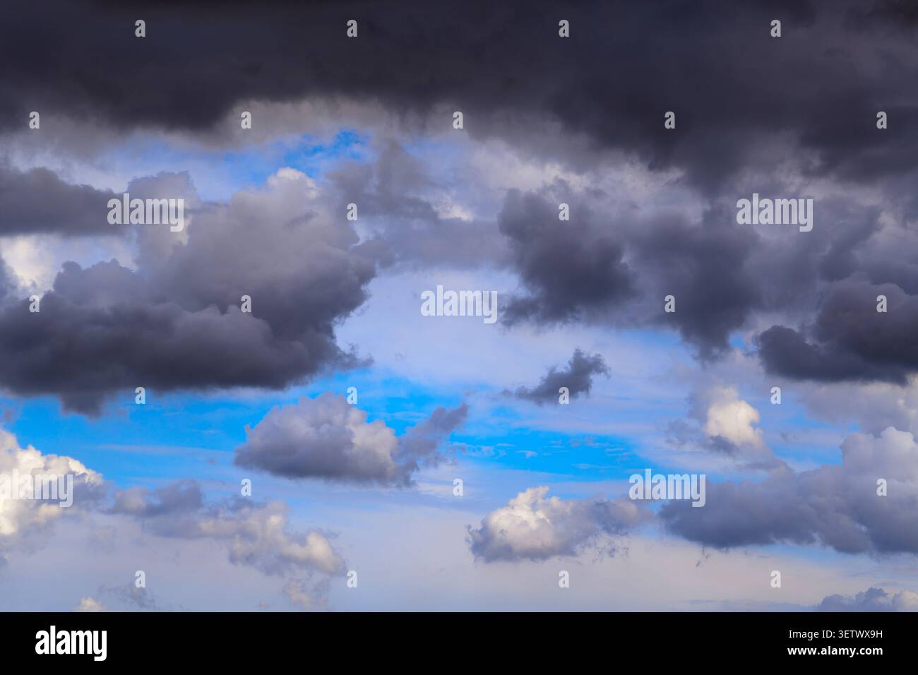 Nuages d'orage dans le ciel gros plan, parmi les nuages, avant la tempête Banque D'Images