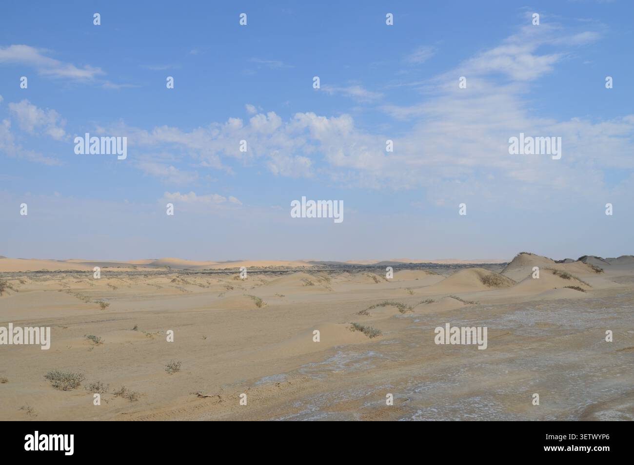 Paysage désertique aride étendu présentant des dunes de sable, une végétation clairsemée et un ciel bleu clair avec des nuages effilochés. Banque D'Images