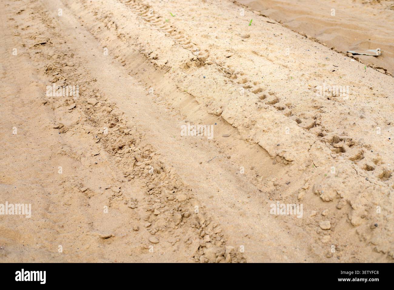 Pistes de traction sur une route de campagne sablonneuse. Traces profondes de la bande de roulement provenant d'un équipement de construction ou d'une chargeuse lourde. La texture des traces de pneu sur sable humide et di Banque D'Images