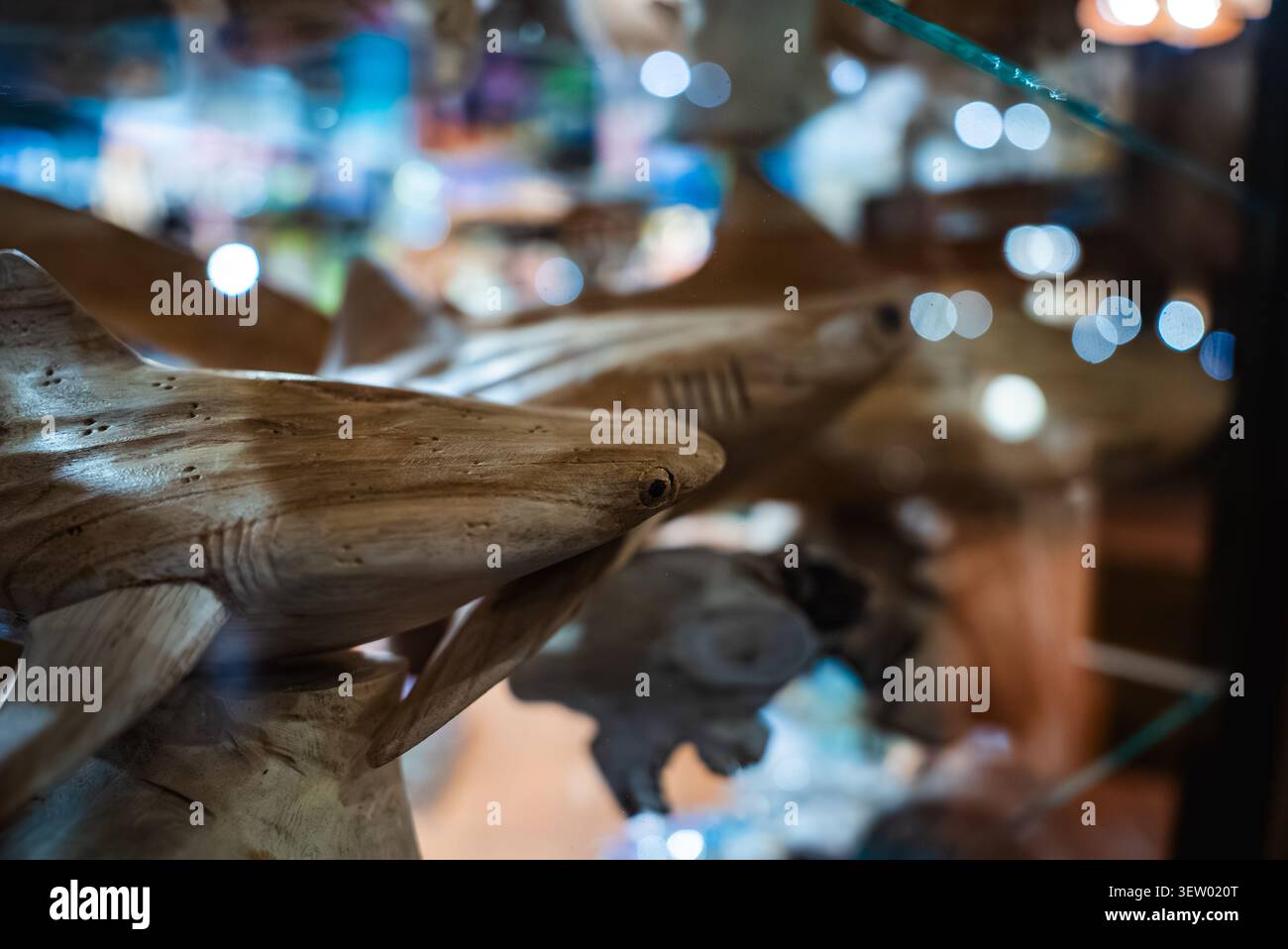 Sculptures de requin en bois sculpté dans un boîtier en verre avec des reflets doux Banque D'Images