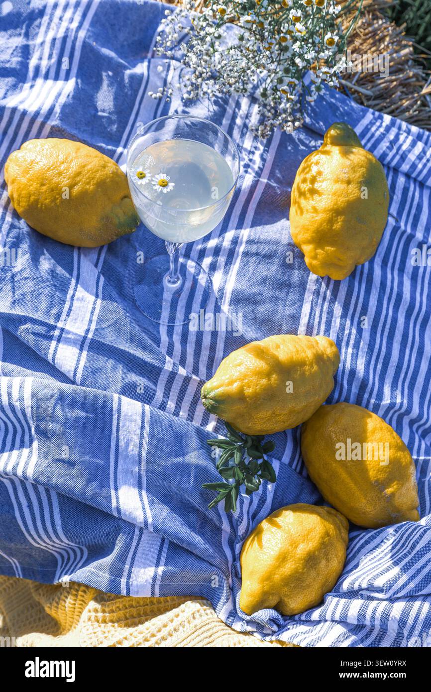 Un verre de limonade avec de petites fleurs blanches est assis sur une serviette rayée bleue et blanche à côté de cinq citrons entiers et un bouquet de souffle de bébé. Banque D'Images