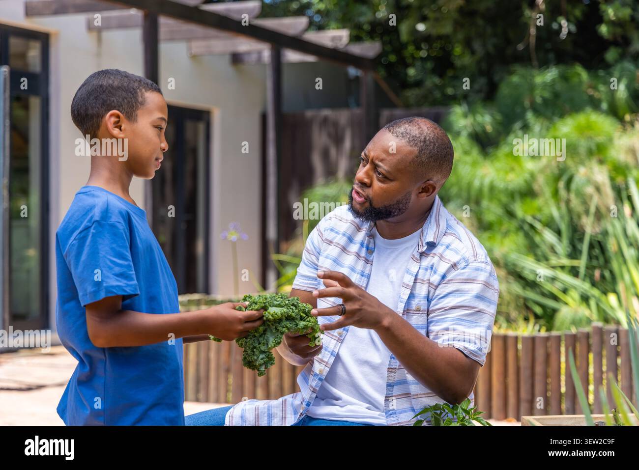 Père et fils afro-américains examinant le chou frisé tout en discutant sur le patio de l'arrière-cour par des jardinières surélevées Banque D'Images