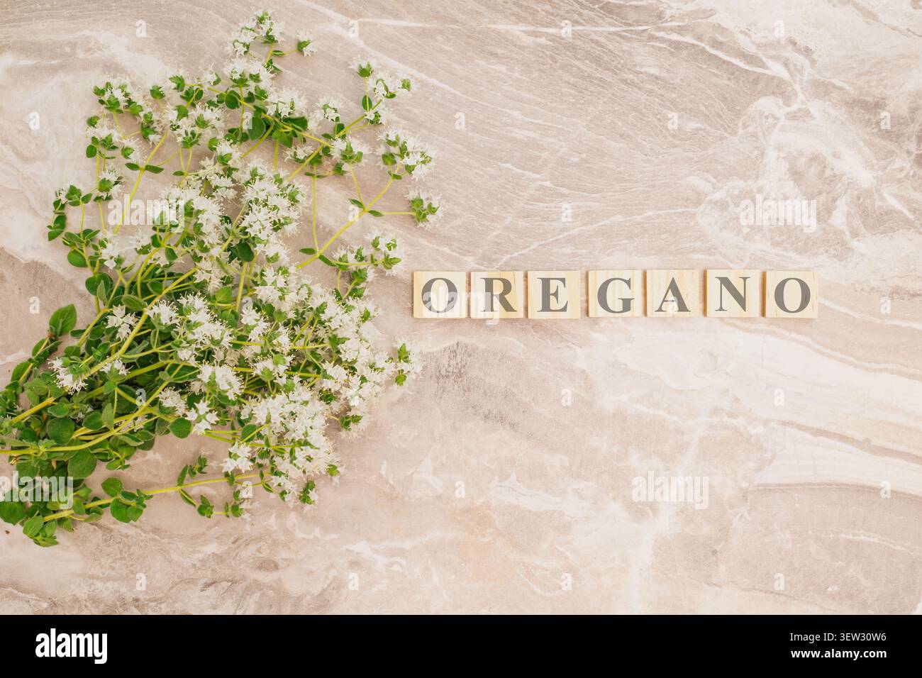 Vue de dessus de branches d'origan en fleurs avec de petites fleurs blanches entourant des blocs de lettres en bois orthographiant le mot origan sur une pierre de marbre gris clair Banque D'Images