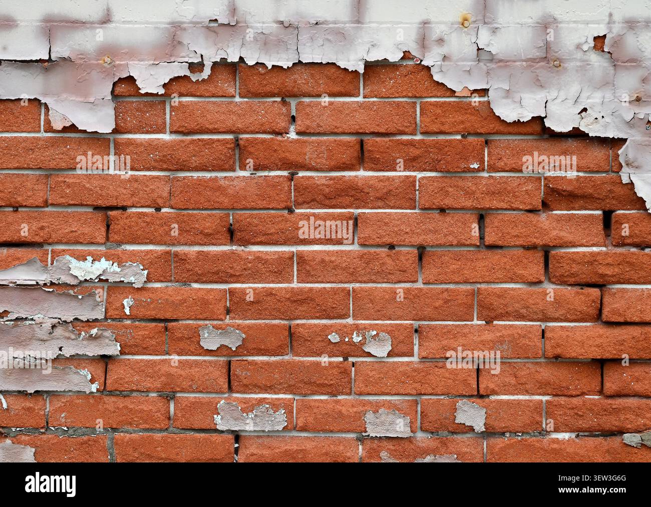 Gros plan horizontal d'une surface de mur de briques rouges détériorée avec de la peinture écaillée blanche Banque D'Images