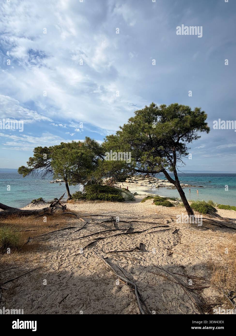 Vue panoramique sur un magnifique paysage côtier à Halkidiki, Grèce, avec des eaux méditerranéennes turquoises, des formations rocheuses uniques et des pins - Image de stock capturée avec un smartphone