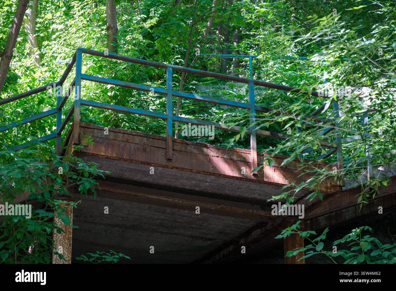 Un pont altéré se dresse entouré d'arbres vibrants et de plantes épaisses pendant la mi-journée. Banque D'Images